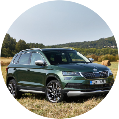Отзывы на ремонт Покраска автомобиля Skoda Karoq