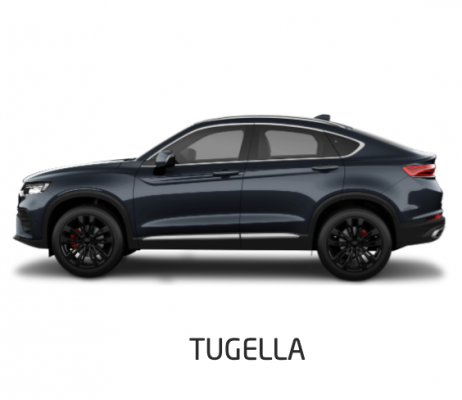 Ремонт Ремонт, Покраска, Замена Крыши Автомобиля Tugella